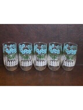 Vintage Blue and Green Floral White Picket Fence Juice Glass Set of Five